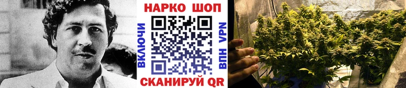 Где купить наркоту Северо-Курильск ГАШ МДМА Мефедрон Альфа ПВП