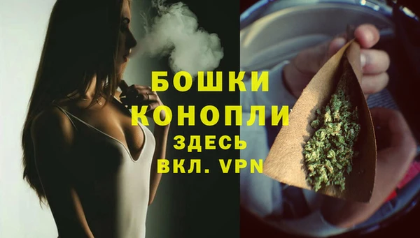 спиды Арсеньев