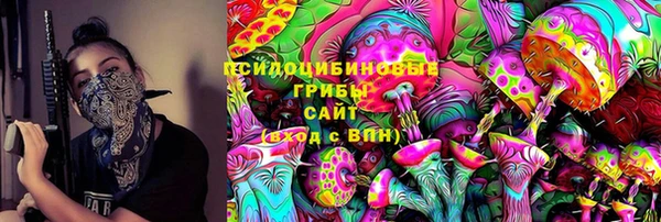спиды Арсеньев