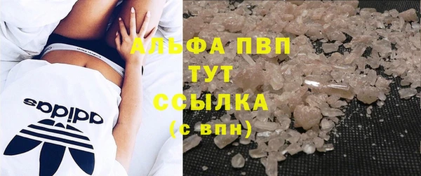 сатива Балахна
