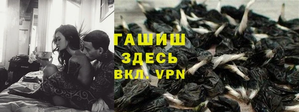 сатива Балахна