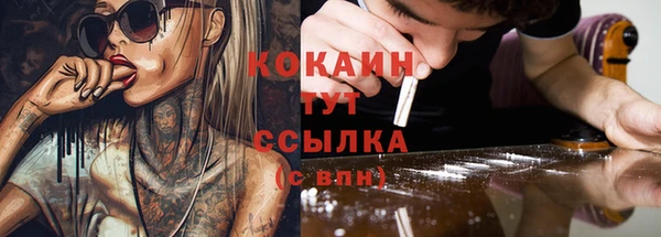 сатива Балахна