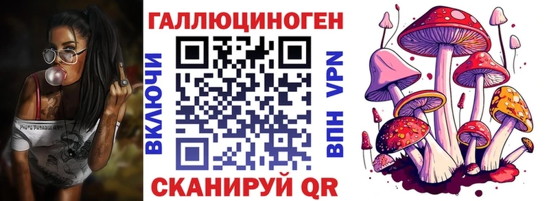 дарк нет официальный сайт  Северо-Курильск  Псилоцибиновые грибы мухоморы 